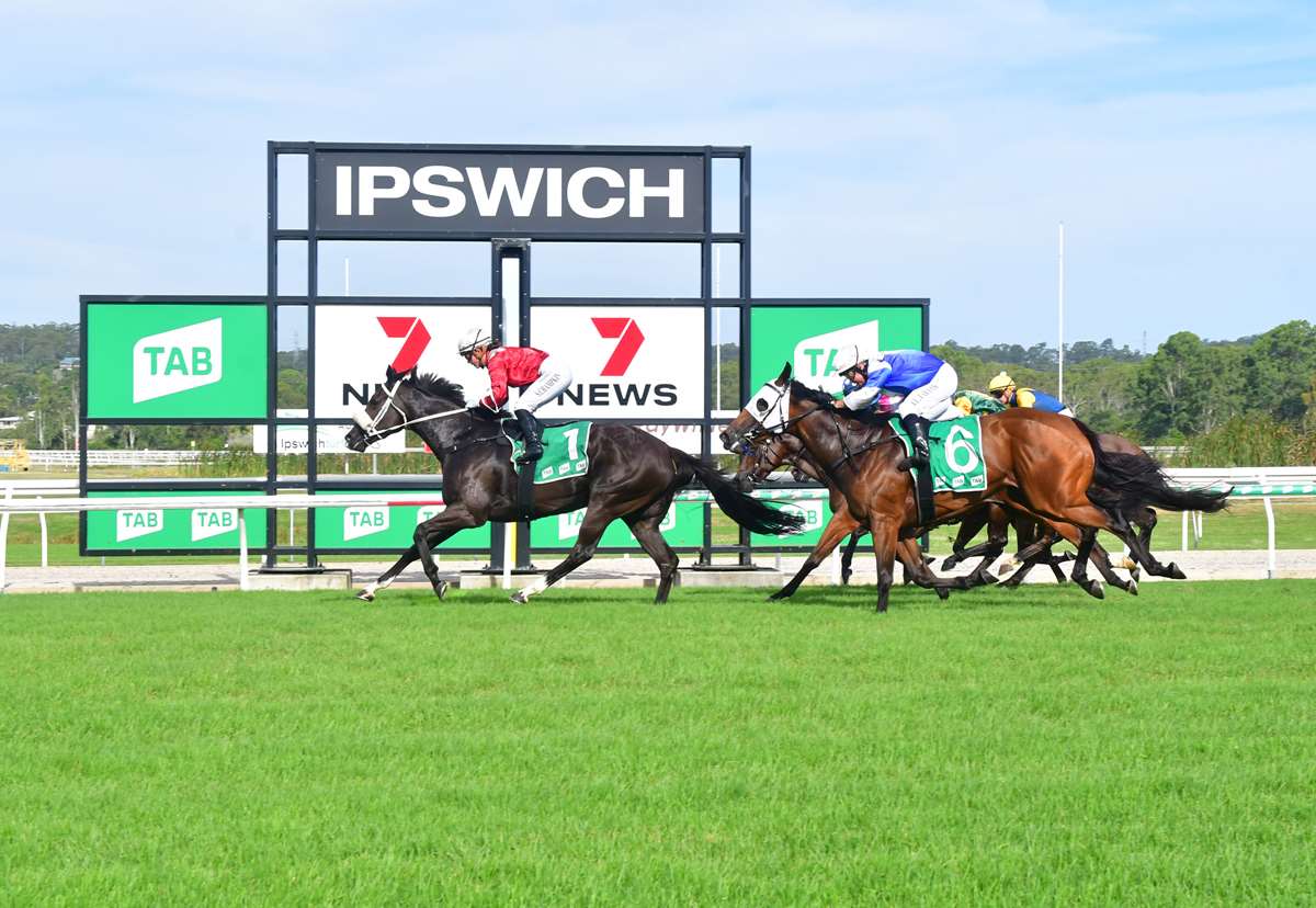 Ipswich Selections – Saturday 3 February 2024